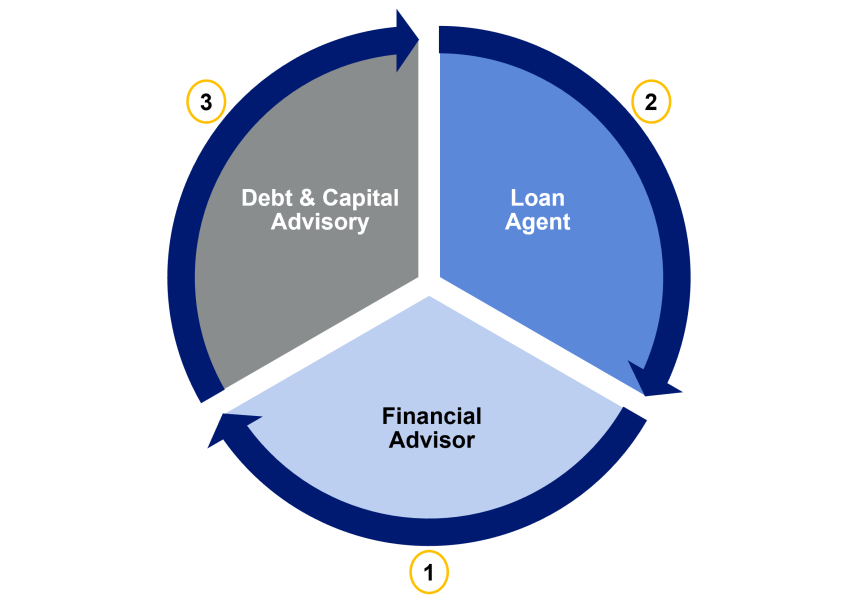 Debt Advisory